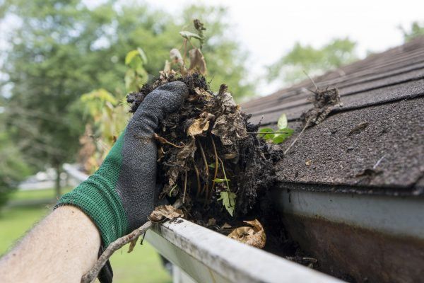Gutter Cleaning Service 8